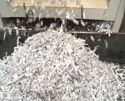 Destrucción de documentos en Zaragoza